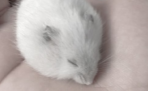 �Ұl(f��)�F(xi��n)�˂}����������ģ�ͨ��21ƪ��