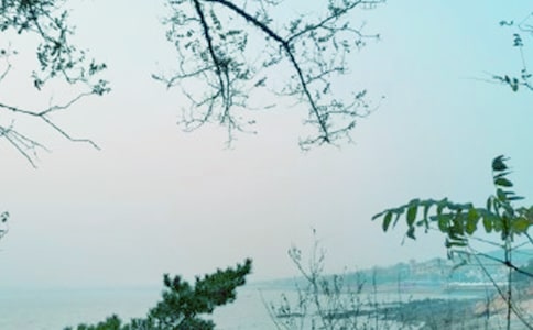 【必備】別樣的青春風景作文