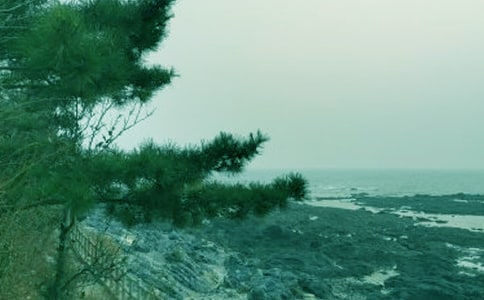 �e�ӵ��ഺ�L(f��ng)������