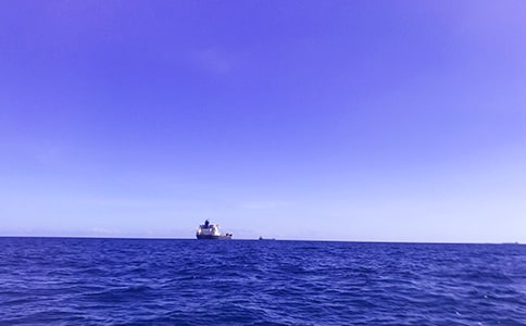 �����Ĵ�����(��(j��ng)��114ƪ)