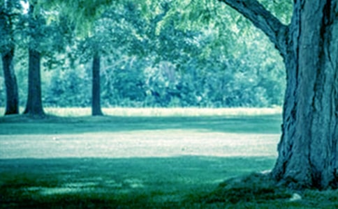 ��������������ģ�ͨ��108ƪ��