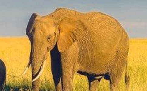 С���Z�Ի�ӽ̰�����������ӣ����x19ƪ��