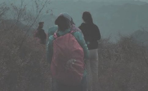 登山小學生三年級作文(通用118篇)