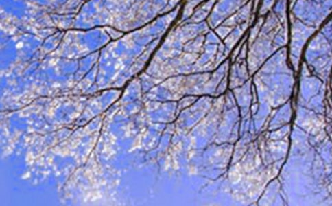 �����һ�|�(y��ng)������