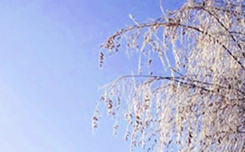 �����Ķ�������4ƪ