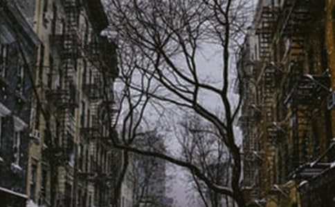 精選冬天的快樂的作文三篇