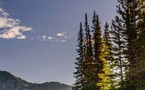 �����x���e�^���L������600��38ƪ