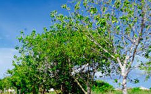 ��Ϥ�L������600�փ��x(3ƪ)