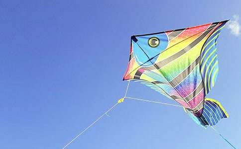 �����x�����L�~����15ƪ