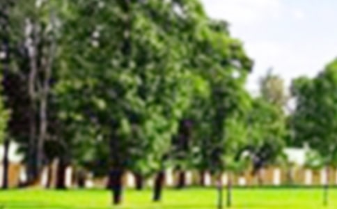 �����A�����@����������3ƪ