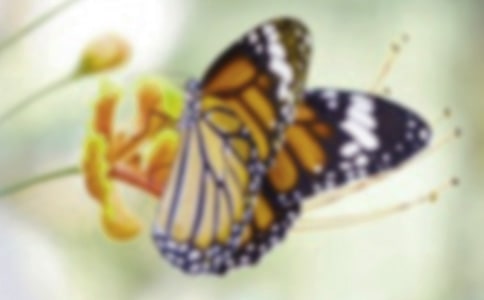 ����Ȫ��x��