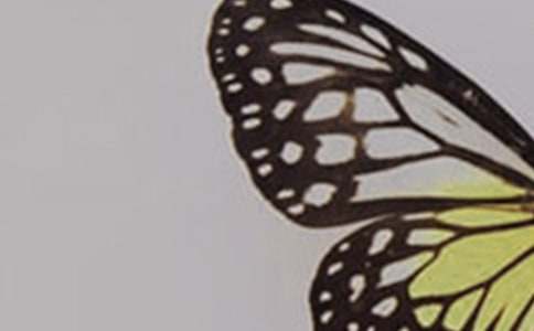 ���P����������300��4ƪ