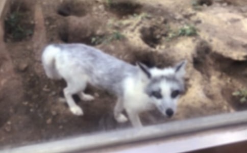 ��؂�͞��f��'���R����15ƪ��