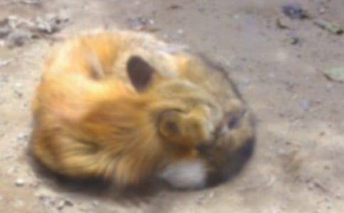 ���f�ͺ�؂����400�֣����x114ƪ��