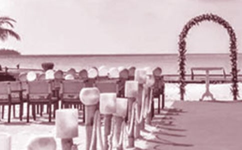 �r(n��ng)���Y�����~15ƪ