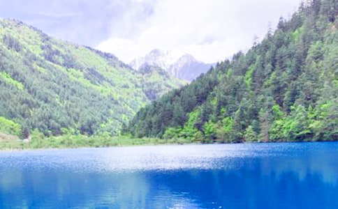 �����ľ�կ�����ģ�ͨ��75ƪ��