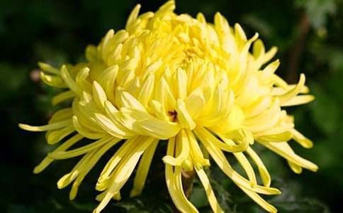 �ջ�����600�֣�ͨ��57ƪ��