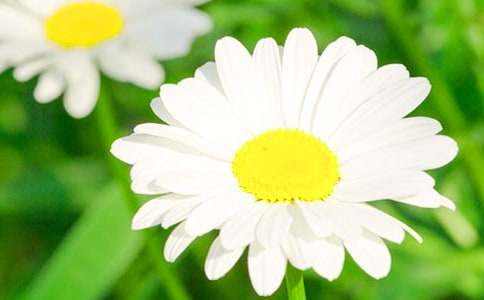 �Ҿջ����ģ����x76ƪ��