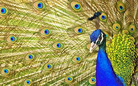 ����ȸ�|���w���̌W�OӋ�����x21ƪ��