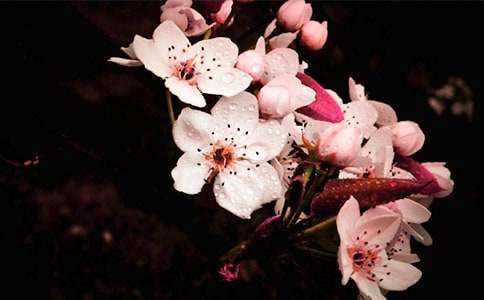 ������滨����