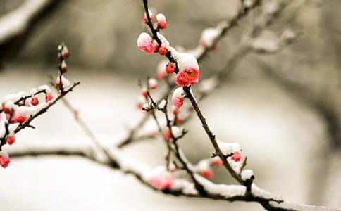 ����÷�����ǵ�Ԋ��100��