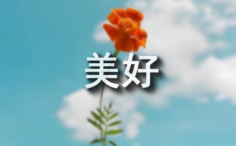 銘記那份美好作文【合集】