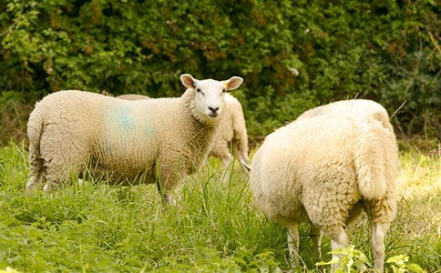 ��������cС�d���x��У�ͨ��28ƪ��