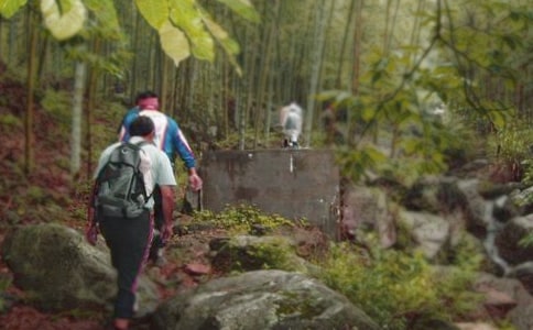 ��ɽ�����ģ����x116ƪ��