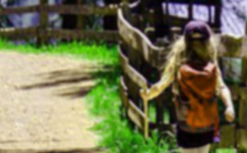 爬山的啟示作文(推薦71篇)