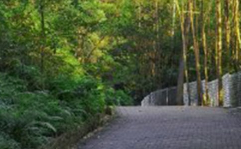 ��ɽ�����ģ�ͨ��79ƪ��