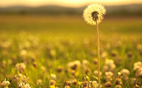 �茑�ѹ�Ӣ�ă�(y��u)������