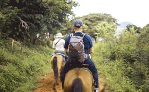 莫泊桑小說《騎馬》讀后感(精選20篇)