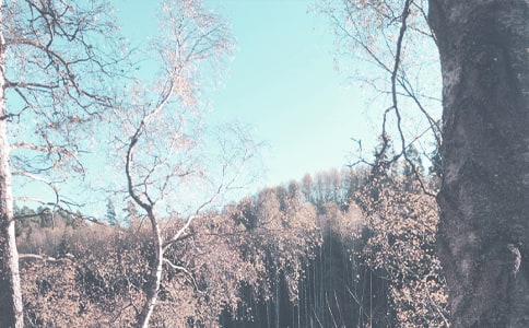 小班秋季工作計劃(精選21篇)