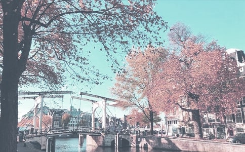 �＾�W�ڱ����T����Ӌ�������x21ƪ��