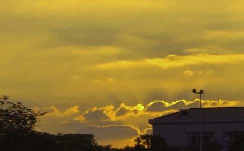 日落又日出作文(精選98篇)