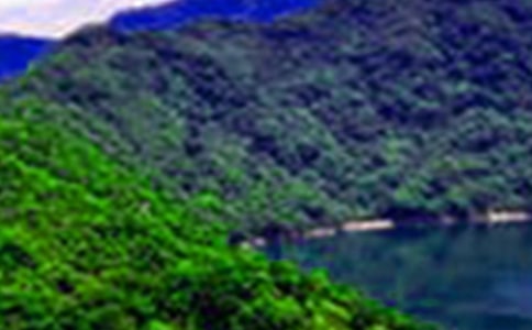 �茑ɽˮ�Ĺ�Ԋ��ȫ