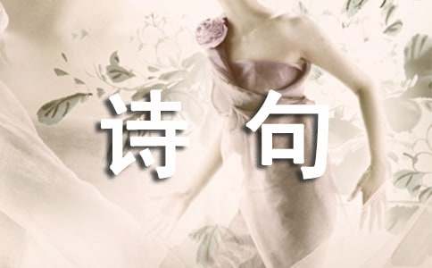 �����Ԋ��240��