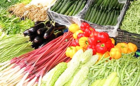 蔬菜供貨方案(精選15篇)