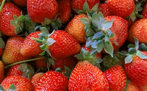 大班美術水果教案(精選22篇)