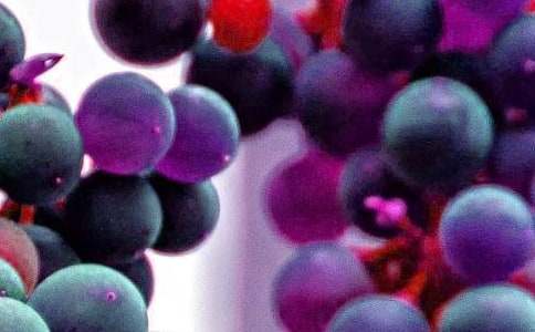 ����Z�Խ̰��������ˮ���������x21ƪ��