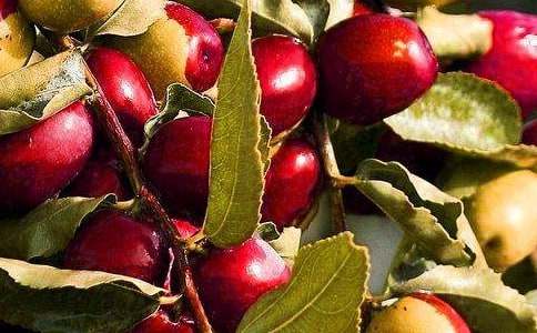 ��ˮ����������g�̰������x20ƪ��