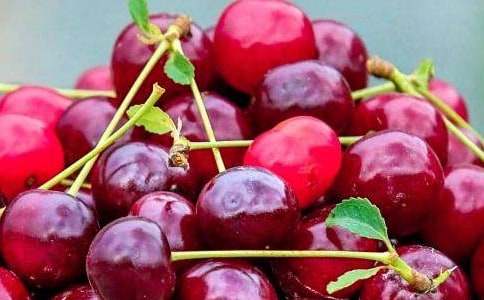 ���l��ˮ������7ƪ