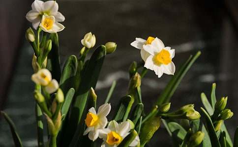 ˮ���ӡ�ҹ���Ԋԭ�ļ��p��