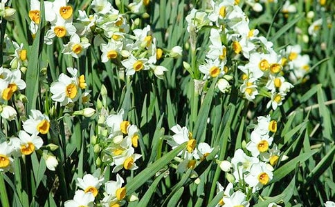 ˮ�ɻ�����350�֣����x67ƪ��