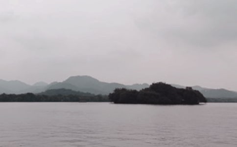 關(guān)于美麗的西湖作文(精選94篇)