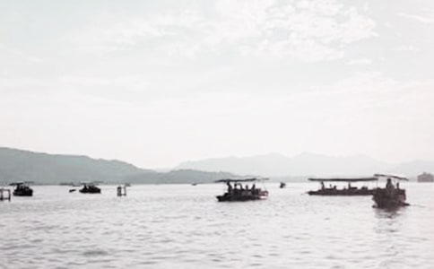 美麗的西湖三年級作文10篇