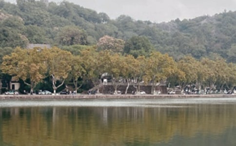 �������������ġ����T��