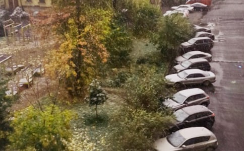 下雪作文范文(精選75篇)