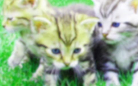 ����С؈���ģ�ͨ��80ƪ��