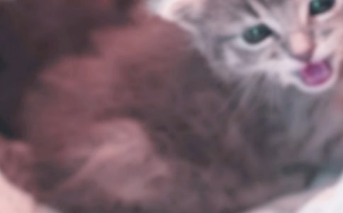 �Ҽҵ�С؈���ģ����x61ƪ��